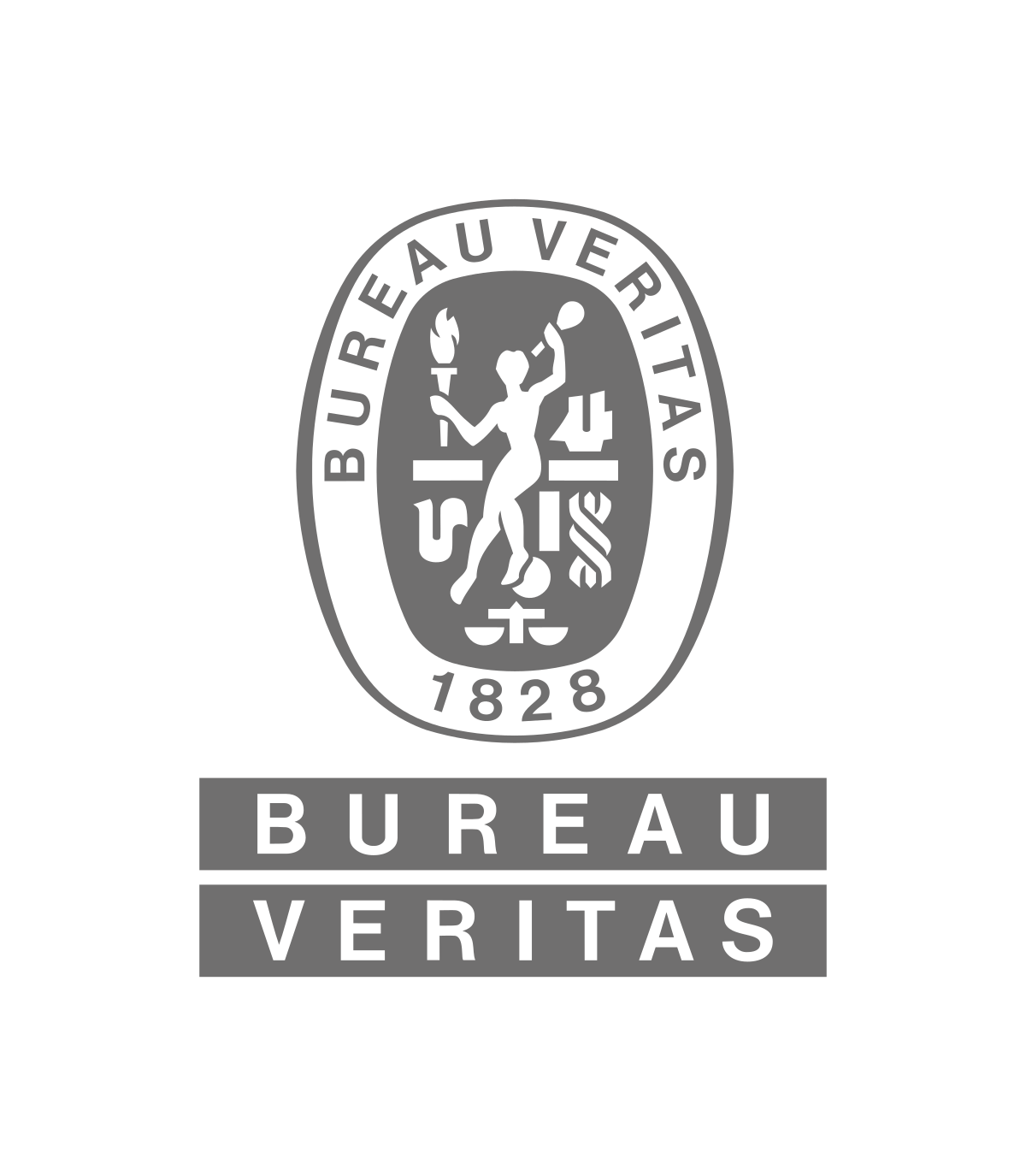 NIEUW Bureau_Veritas logo grey (002)